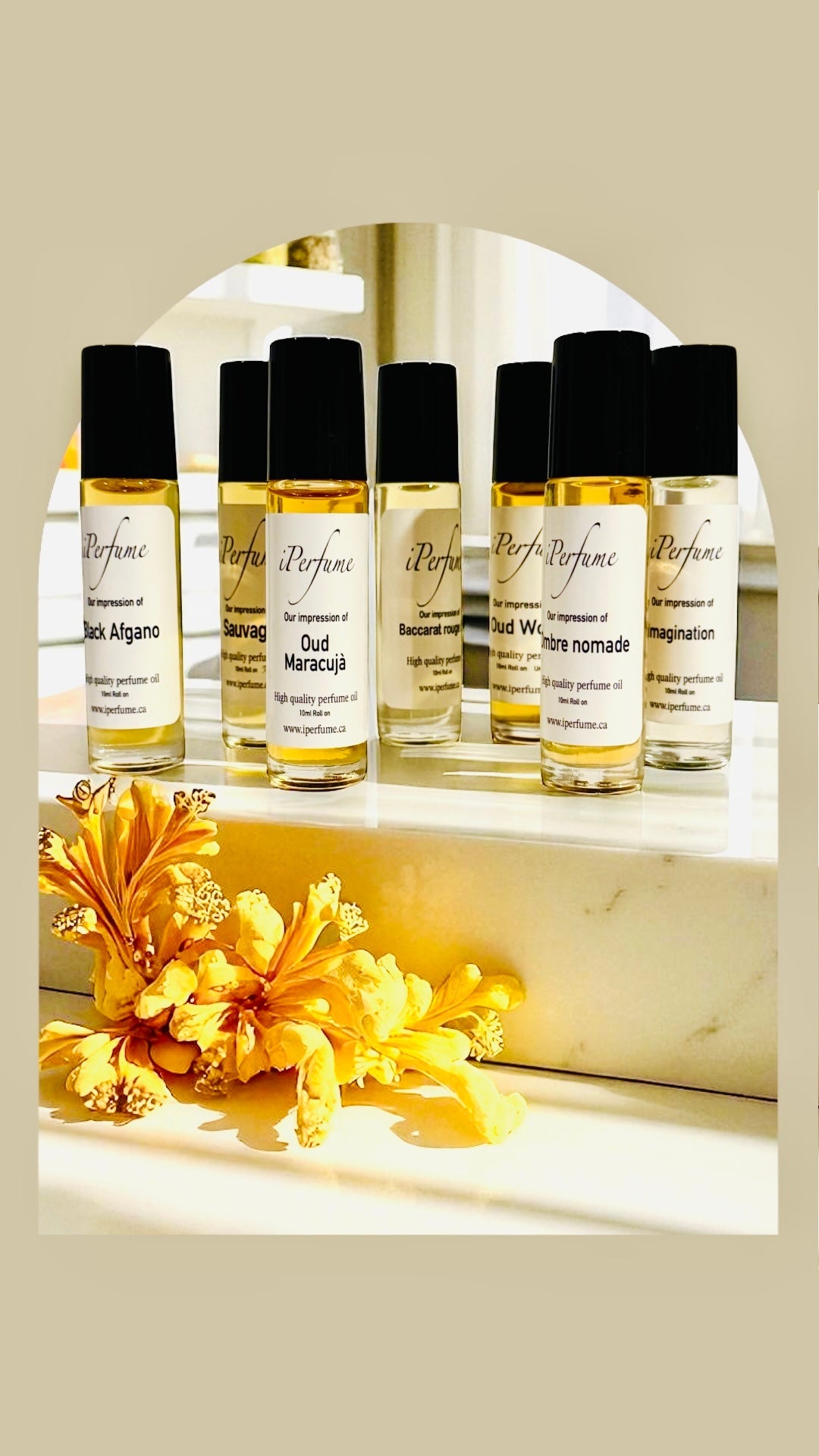 Fragrance Oils For Him