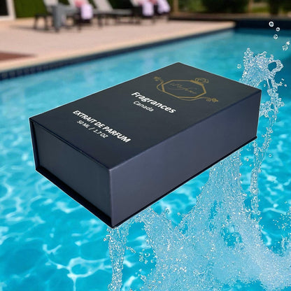 Inspired by LV, Afternoon Swim